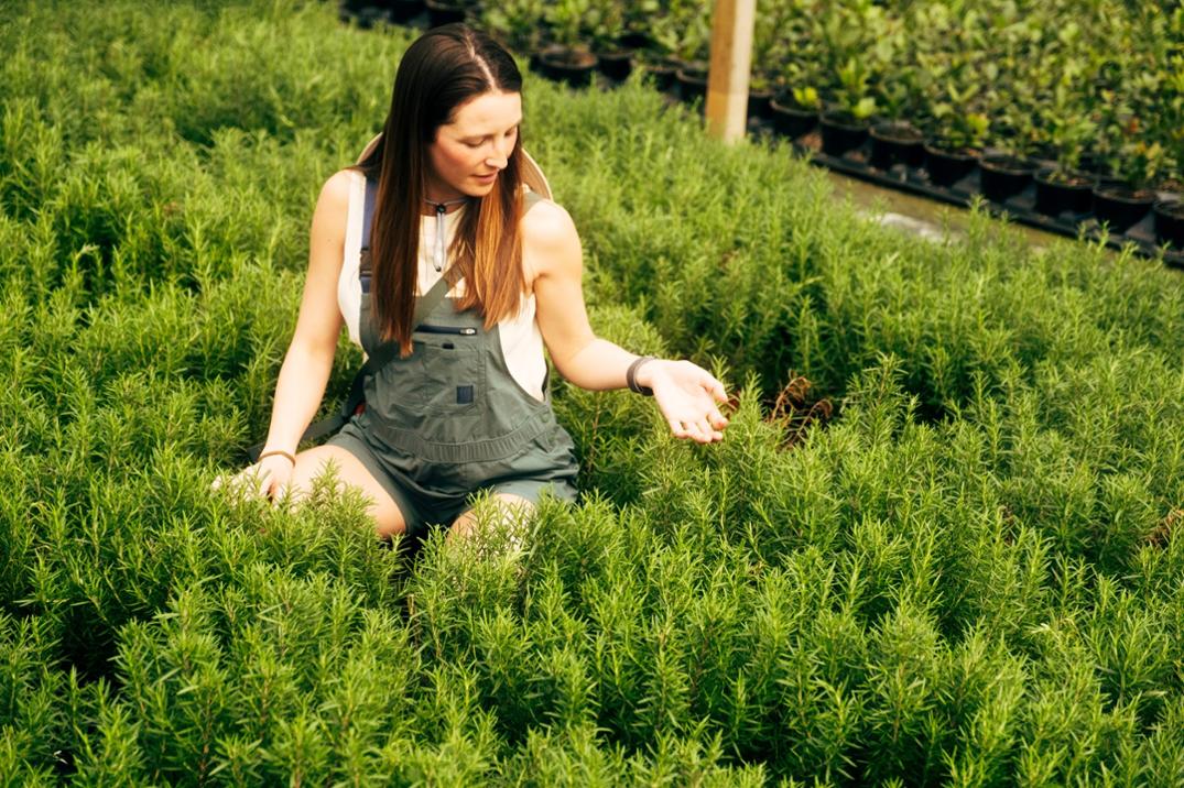 Location Image for Roads Romper - Women's