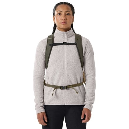 Arc'teryx Mantis 26 L Pack 2