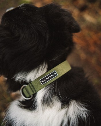 Location Image for Waterproof Collar