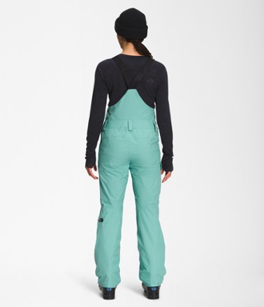 The North Face Freedom Bib Pants - Women's 1