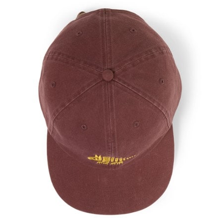 REI Co-op Everyday Graphic Cap Overhead