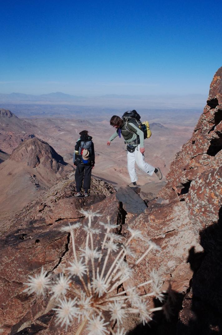 Location Image for 200 Descender Long-Sleeve Zip Hoodie - Men's