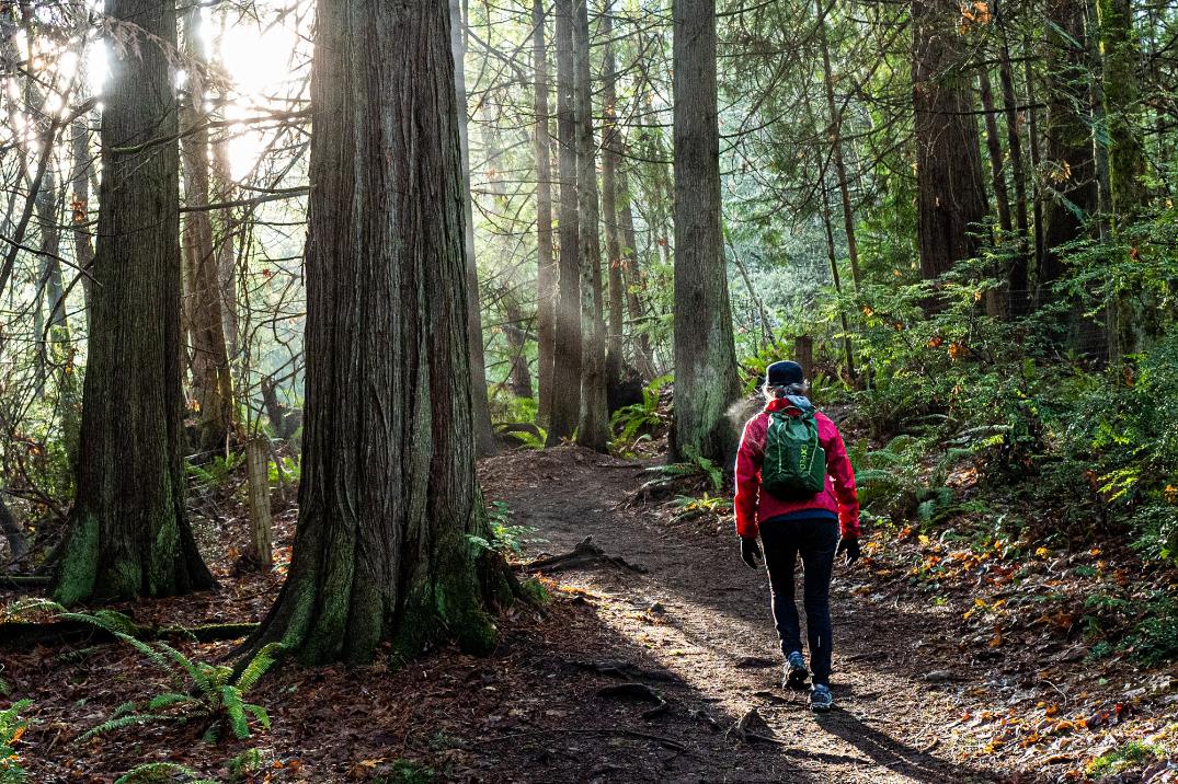 Location Image for Typhoon 15 Pack