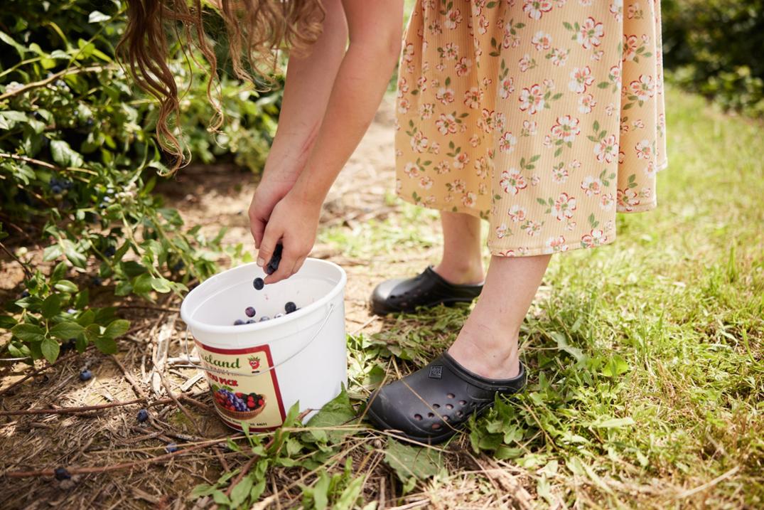 Location Image for Muckster Lite EVA Clogs - Women's