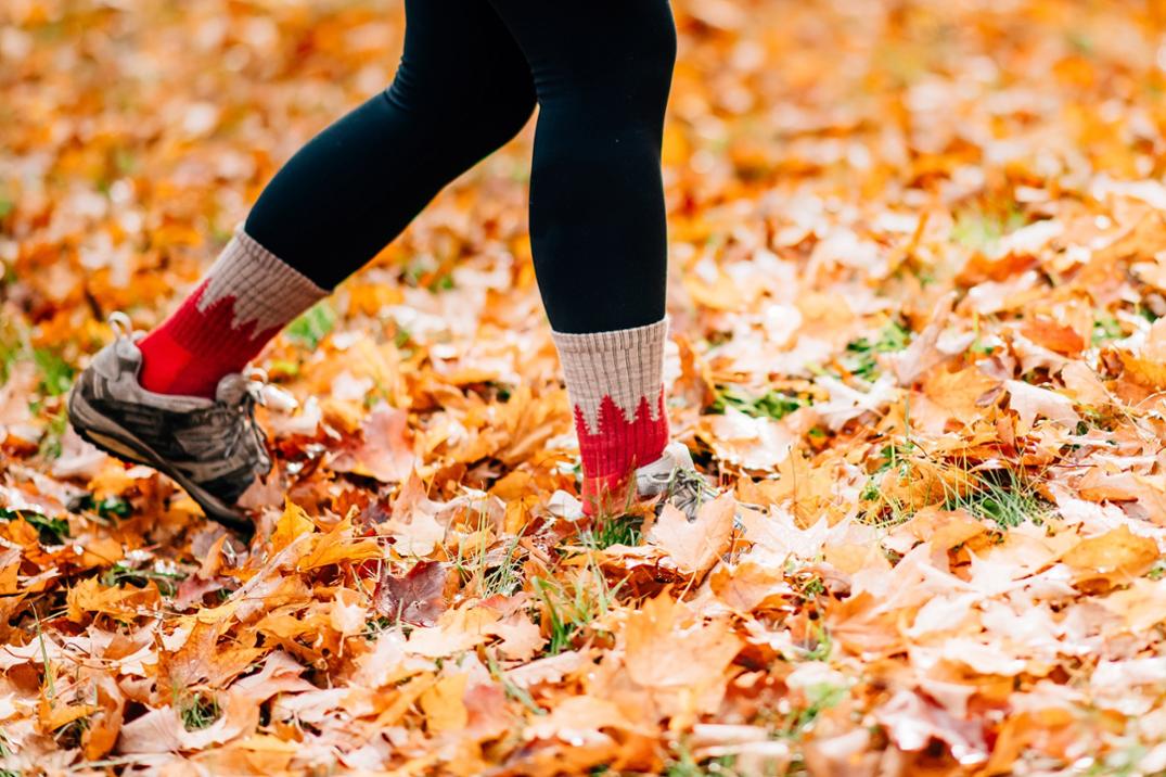 Location Image for Treeline Micro Crew Socks - Women's