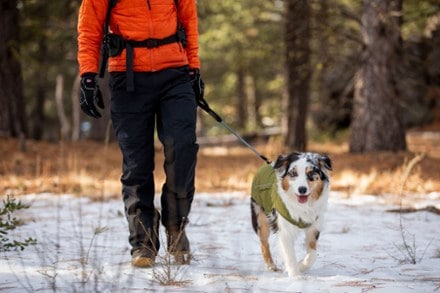rei dog jacket