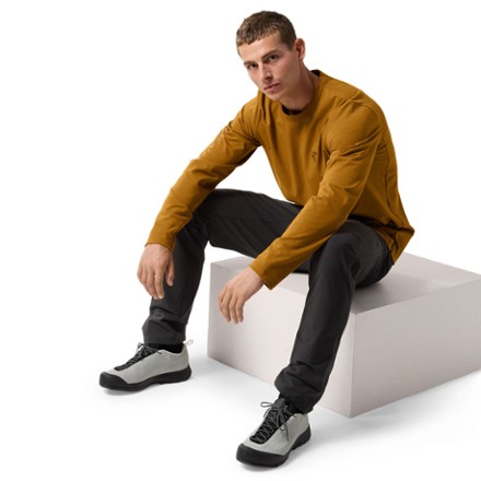Arc'teryx Levon Pants - Men's 6