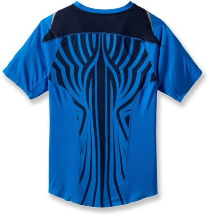 Back View (Blue Spark)