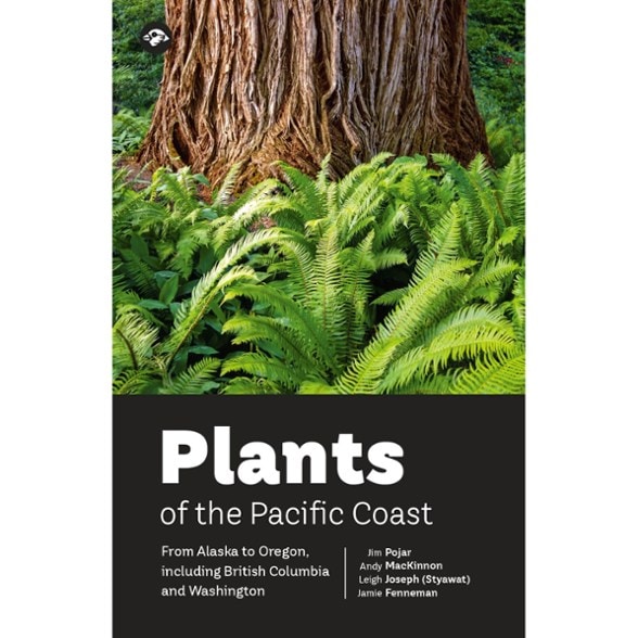 Product Image of color
