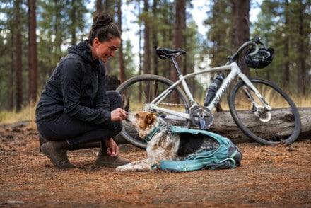 Ruffwear Hitch Hiker Dog Pack Carrier 3