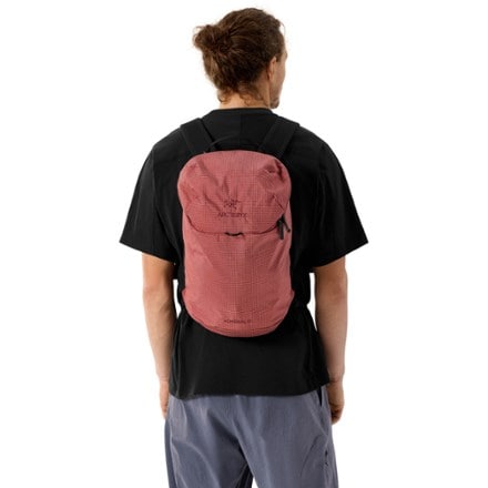 Arc'teryx Konseal 15 Pack 3