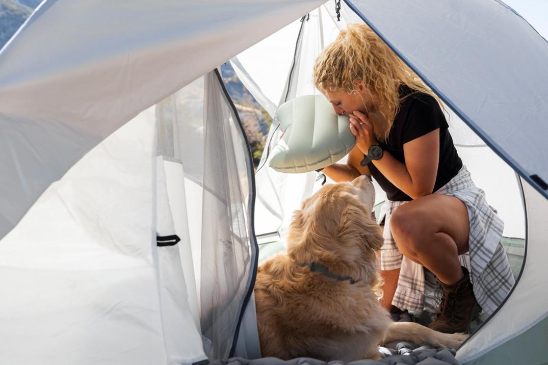 Location Image for Vice Air Pillow