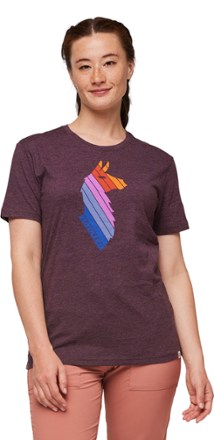 Cotopaxi Llama Stripe T-Shirt - Women's 1