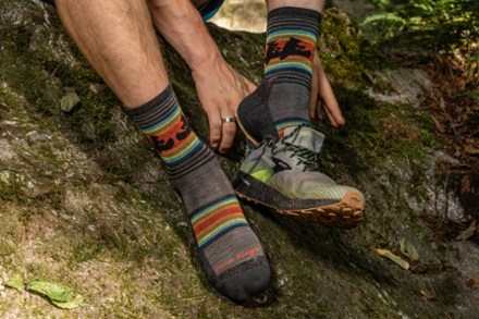 Darn Tough Willoughby Micro Crew Lightweight Hiking Socks - Men's 3