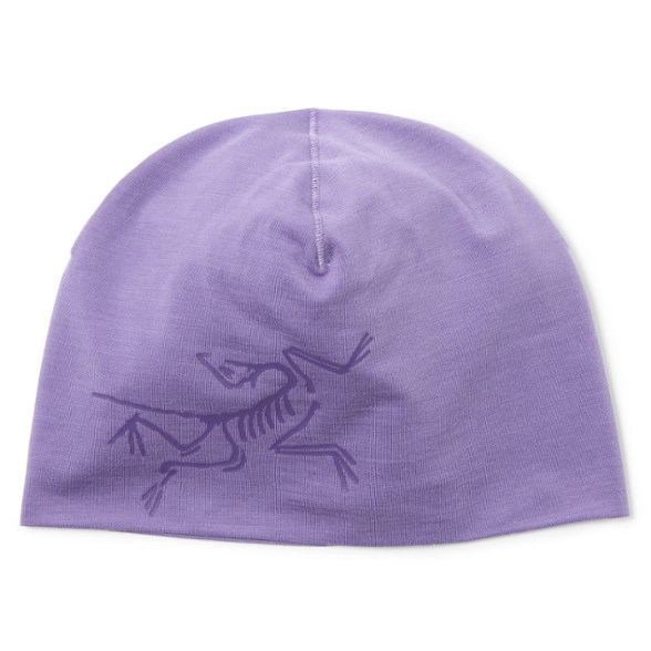 Product Image of color Dark Aster