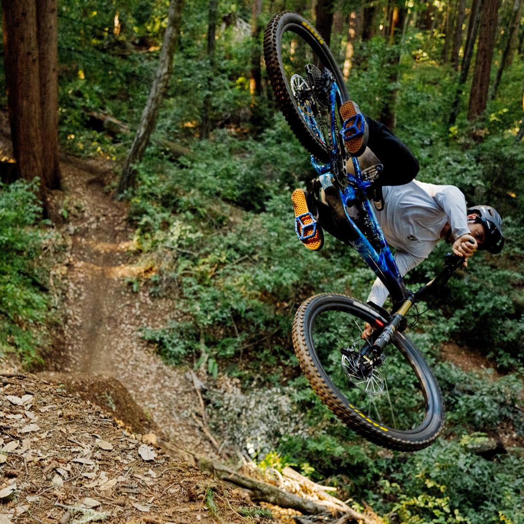 Location Image for Wave Pedals