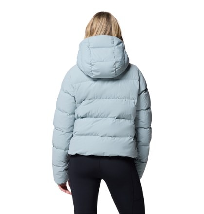 Columbia Amaze Puff Down Hooded Jacket - Women's 1