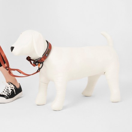OllyDog Flagstaff Reflective Comfort Adjustable Dog Collar 4