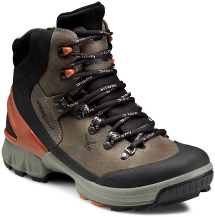 ecco trekking shoes