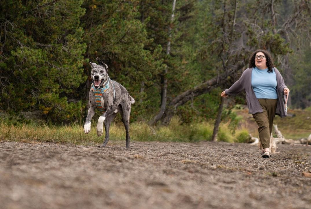 Location Image for Front Range Dog Harness
