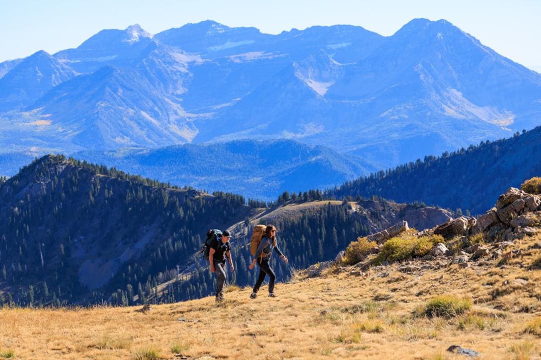 Location Image for Maven 68 Pack - Women's