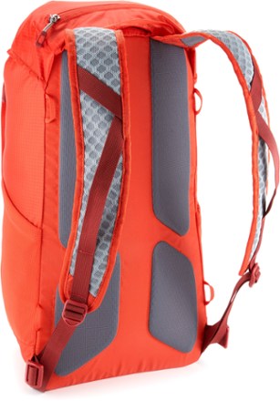 REI Co-op Flash 22 Pack | REI Co-op