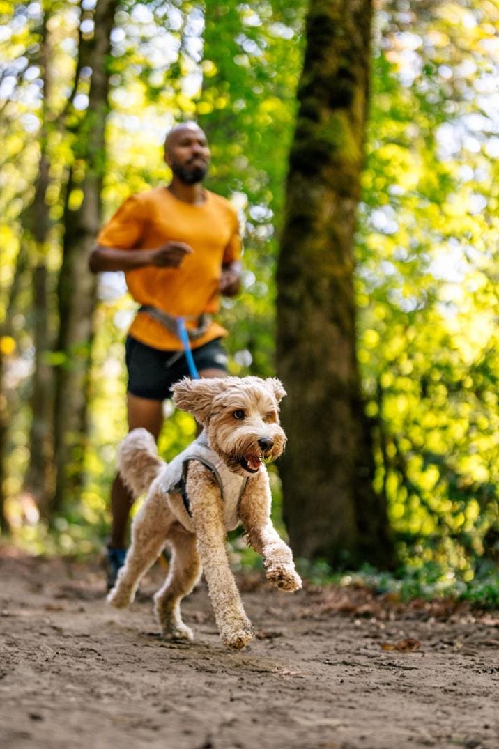 Location Image for Swamp Cooler Cooling Vest