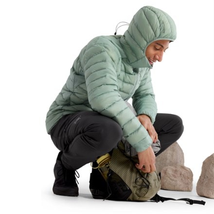 Arc'teryx Cerium Down Hoody - Men's 6