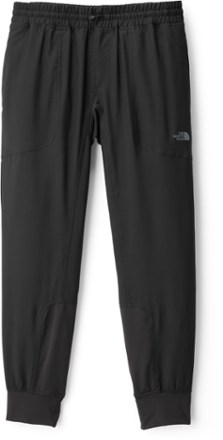 north face ambition pants