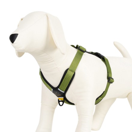 Rei pet supplies sales
