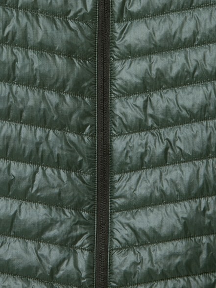 Swatch Image of color Black Spruce