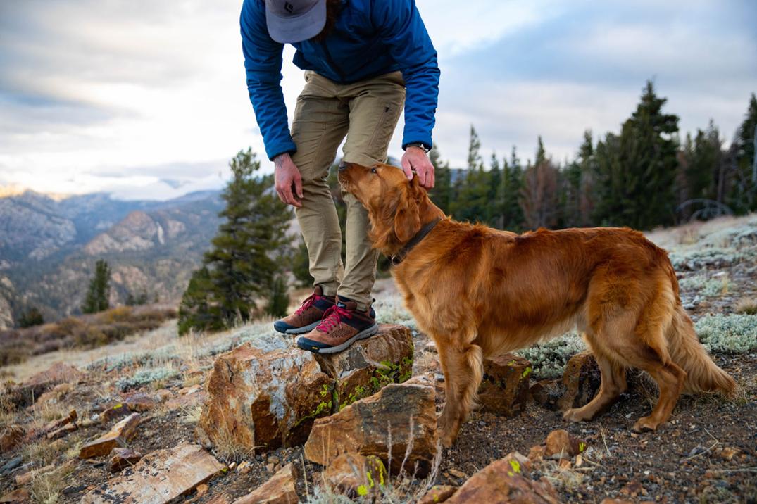 Location Image for Trail 2650 Hiking Shoes - Men's