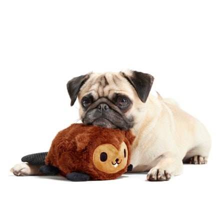 Bark National Park Plush Dog Toy 5