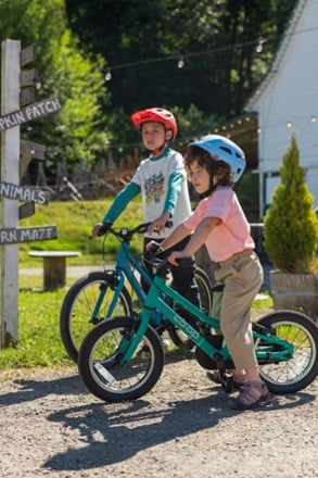 Location Image of color Coastal Green