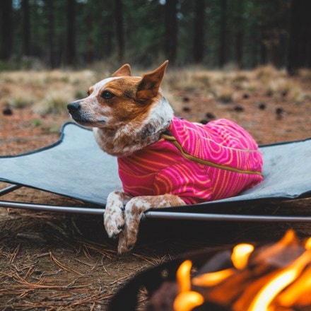 Location Image for Climate Changer Full-Zip Fleece Dog Jacket