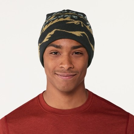 REI Co-op Graphic Cuff Beanie 1