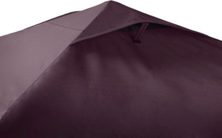 Coleman OASIS 10 x 10 Canopy 3