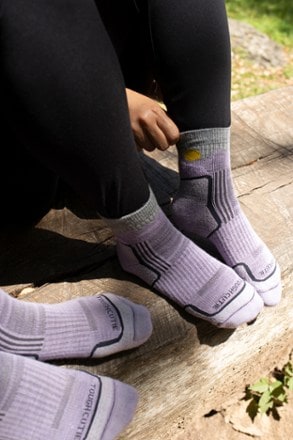 ToughCutie Eve Light Weight Hiker Quarter Horizon Socks - Women's 2