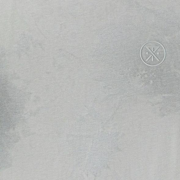 Swatch Image of color Grey
