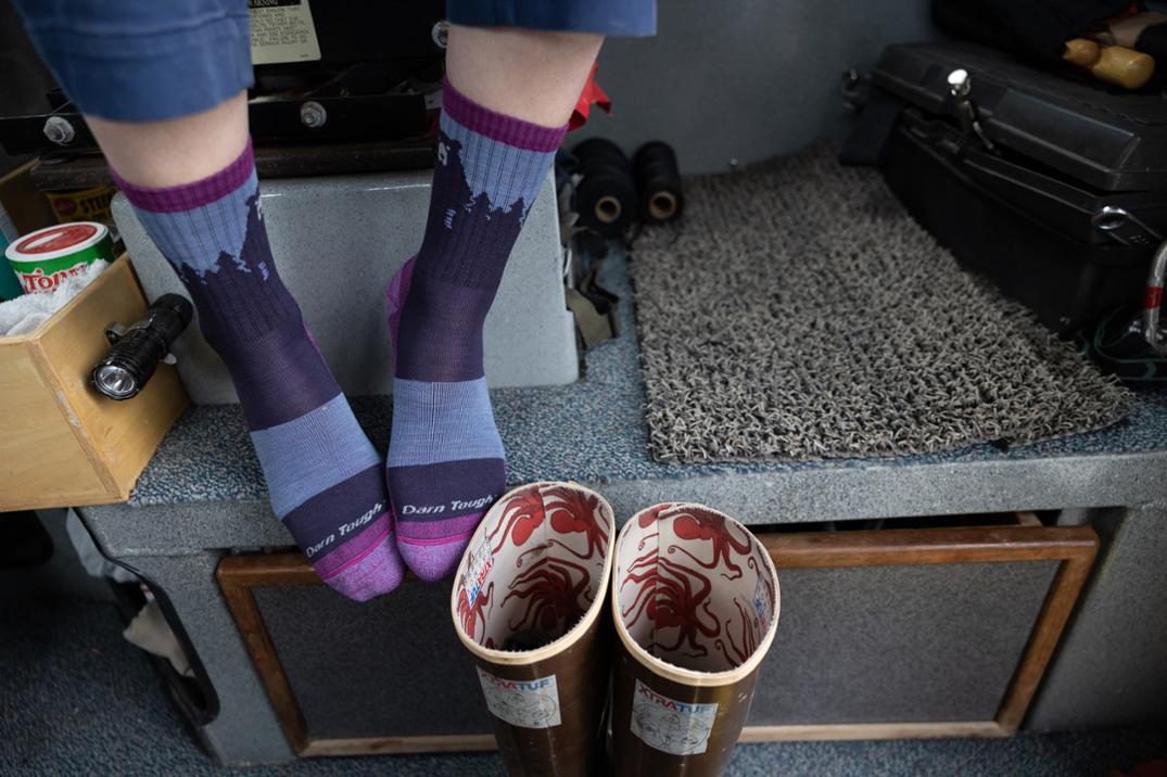 Location Image for Bear Town Micro Crew Socks - Women's