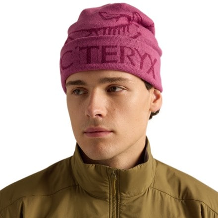 Arc'teryx Bird Word Toque 0