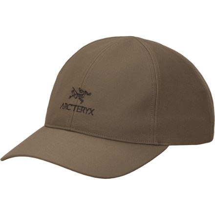 Arc'teryx Bird Word Cap | REI Co-op
