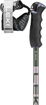 Leki Detect S Ski Poles - Pair | REI Co-op