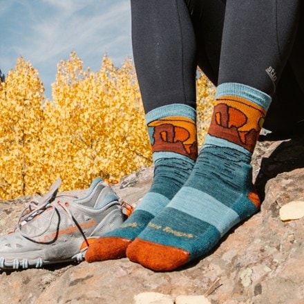 Darn Tough Celeste Midweight Micro Crew Cushion Socks - Women's 4