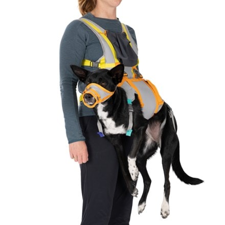 Ruffwear BackTrak Evacuation Kit 3