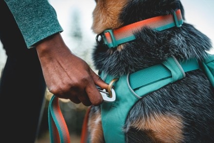 Ruffwear Front Range Dog Day Pack 6