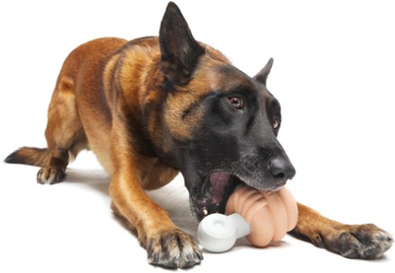 Bark Doggone Fishin' Super Chewer Dog Toy 4