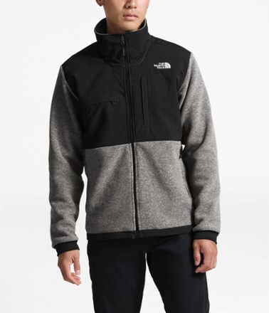 the north face men's denali 2 fleece jacket