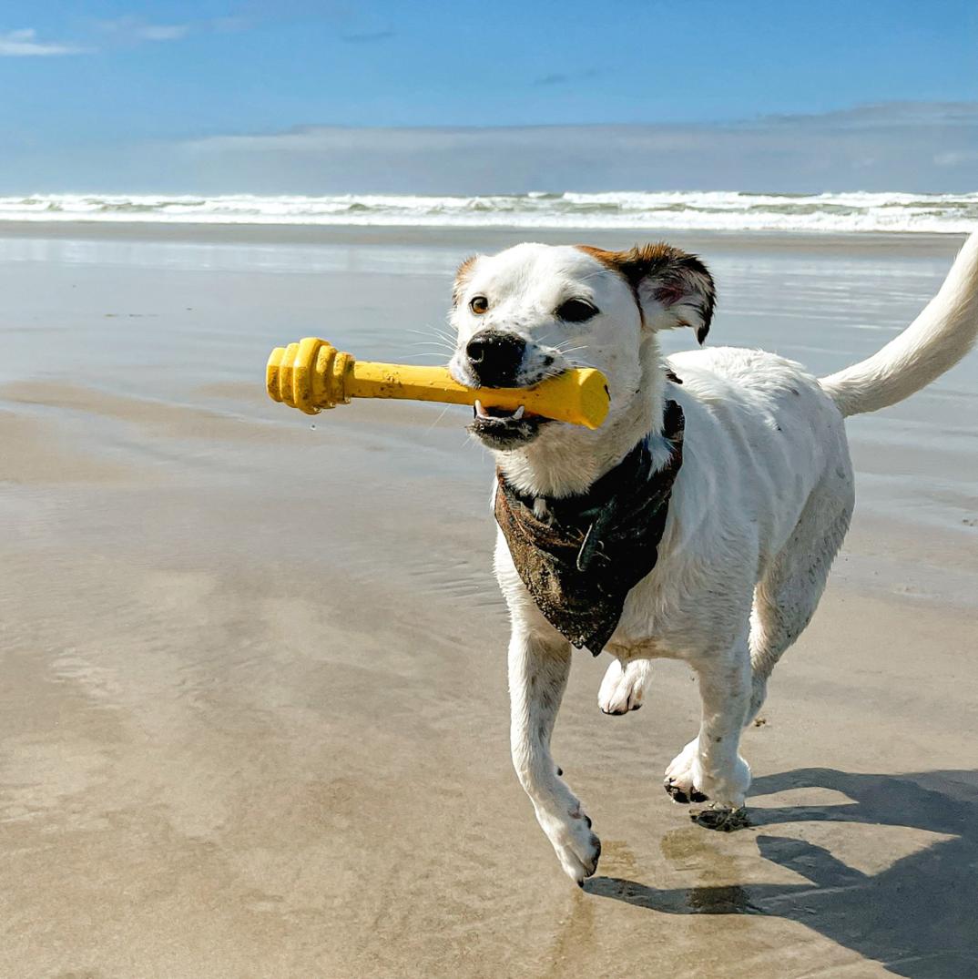 Location Image for Hive Fetch Stick