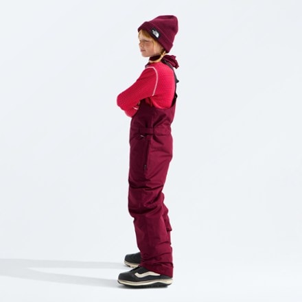 The North Face Freedom Insulated Bib Snow Pants 5